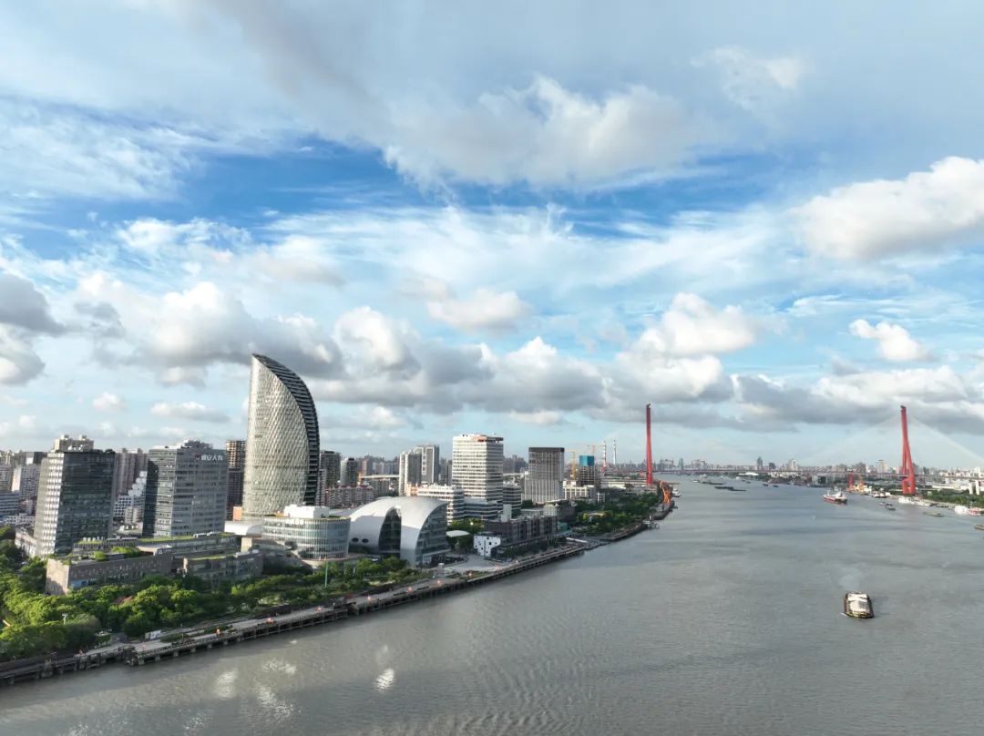 解锁杨浦“蝶变”密码！城市更新以“新”换“心”(图1)