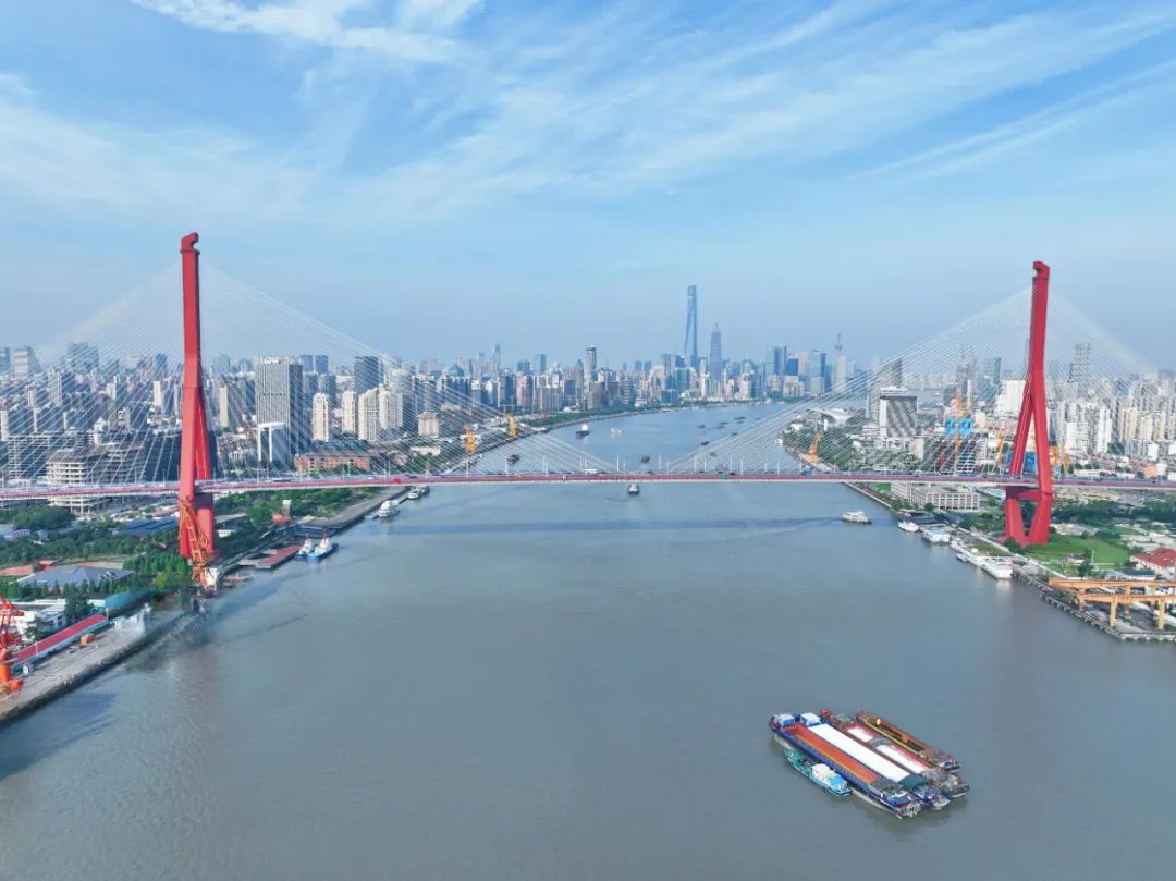 解锁杨浦“蝶变”密码！城市更新以“新”换“心”(图6)